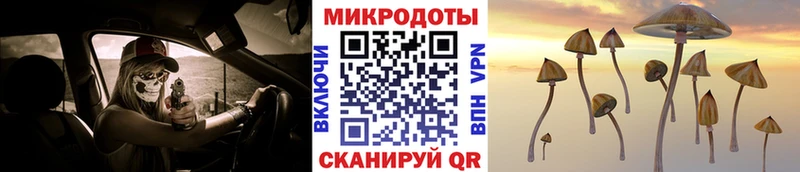 Псилоцибиновые грибы мухоморы Ардатов
