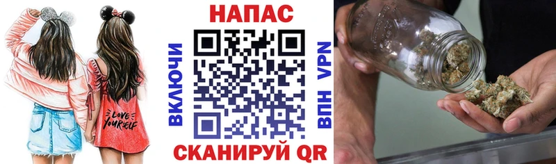 Купить где  Ардатов  Шишки марихуана сатива 